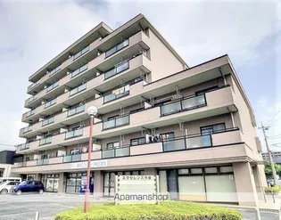 エクセレンス今泉の画像