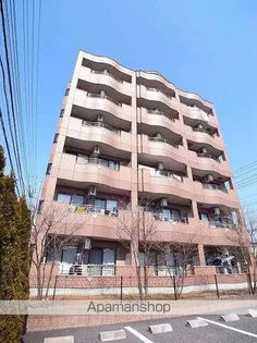 シュノンソーの画像