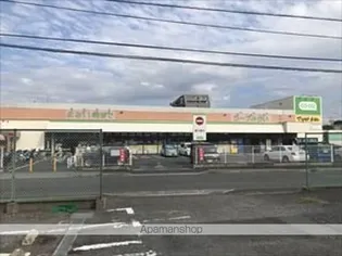 レオパレスサンステラ【1階】の周辺