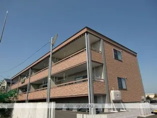 ミムートスピネルの画像