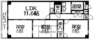 ドミールM【202号室】の間取り