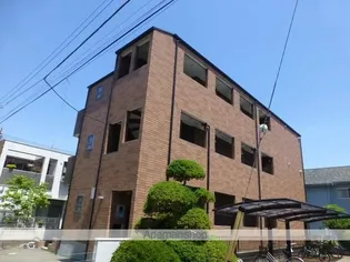 ウィステリアの画像