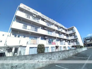 シーキング河辺の画像