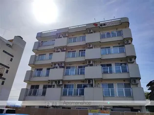 サンフラワー日向【401号室】の外観