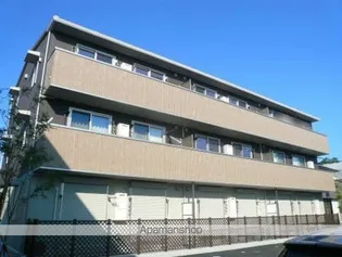 オアシスの画像