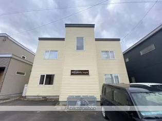 MSプロフマーレの画像