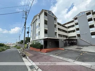 カレッジシティハイツ【207号室】の外観