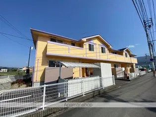 グレイス横黒の画像