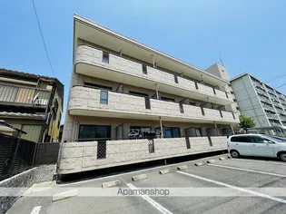 ヒラソルの画像