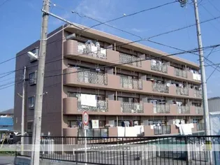 サン スペリオの画像