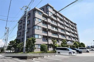 シャトレMの画像