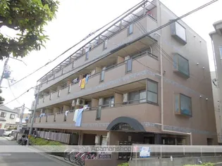 プルメリアの画像