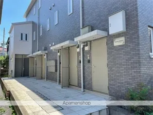 エバーグリーンの画像