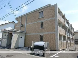 グラシオッソの画像