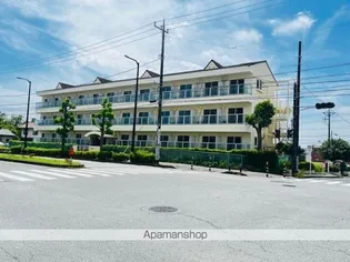 ハイムカメリアの画像