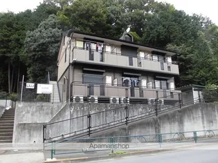 コスモス ABの画像