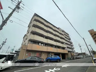 サンライズ入場の画像