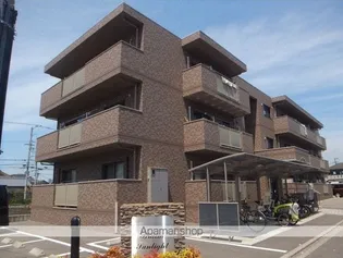 ブライムサンライトの画像