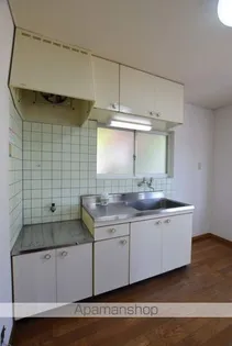 サーパスコート【205号室】のキッチン