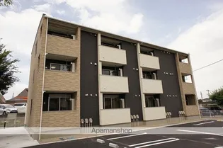 アルストロメリア NEの画像