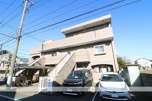 ラークスパーの画像
