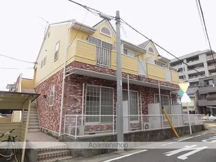 グレイスNFの画像