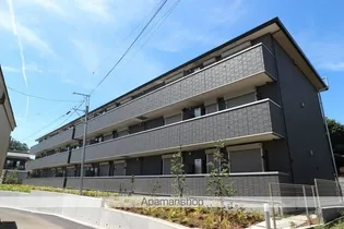 コリーヌの画像