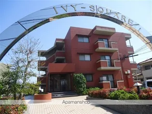 IVYーSQUAREの画像