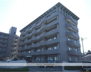 クリア スプリング中央の画像