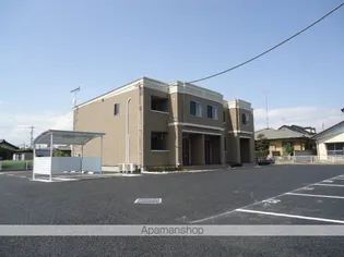 シェモアの画像