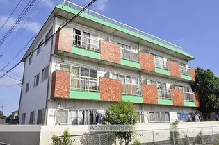 埼玉県八潮市大字大瀬【マンション】の外観