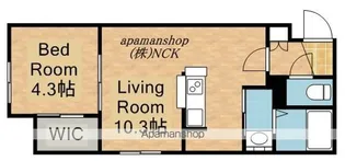 アッパーヴィレッジ栄町【4階】の間取り