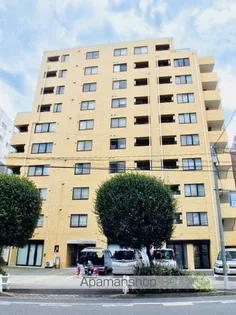 東建ニューハイツ市ヶ谷の画像