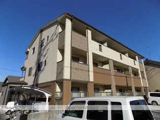 アーリーバードの画像