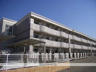 アタラクシアの画像