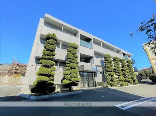 マーブル7の画像