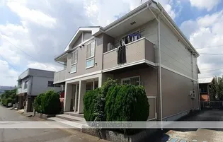 エヴァーグリーンの画像