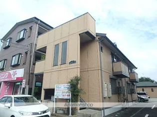 ONLY ONE しまのの画像