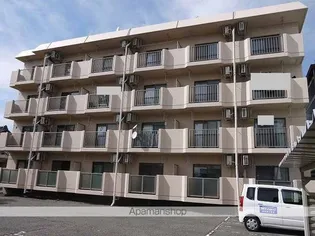 開智ハイツの画像