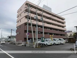 エムズサンシャインの画像