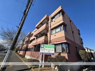 アーニスの画像