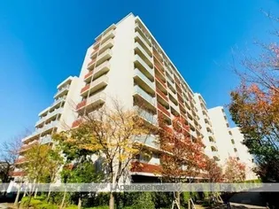 東京都世田谷区太子堂3丁目【マンション】の外観