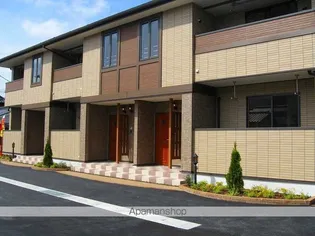 ブレイスの画像