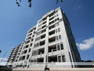 ロイヤルメゾン上野西の画像