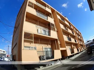 シティパレス新潟の画像