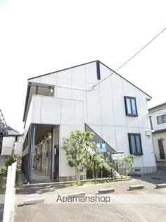 セフィラ エイ 黒松の画像