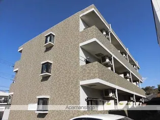 パティナAの画像