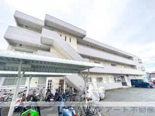 ティアラの画像