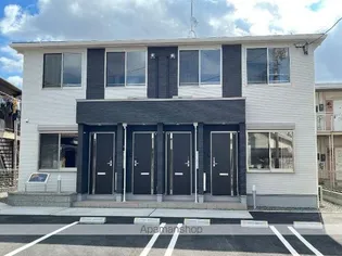 アンジーの画像