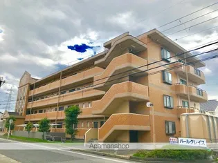 パールグレイスの画像